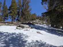 Areas of exposed rocks and dirt.