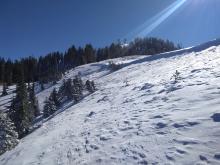 5 to 12 inches of snowcover on NE aspect Wildflower Ridge at about 7,750'.