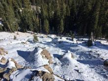 Thin snowpack at 7800', E aspect, in below treeline terrain.