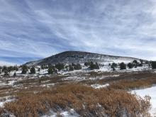 Thin (4-8) coverage in meadow below Winnemucca Lake. Elephants Back in backgorund, completely wind-scoured.