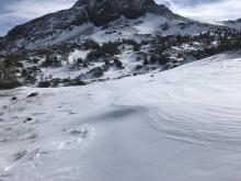 Some small wind slabs formed on various east facing slopes.