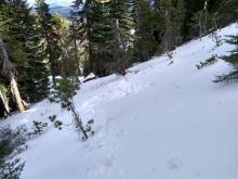 Snowpit site on N aspect at ~7,650'.