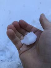 facets near ground at 8830' were wet enough to make a snowball