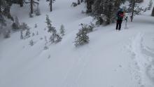 Looking at the cracks from the other side of the slope. The cracks were triggered from the skin track in the flats above the slope.