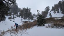 The storm snow improved coverage, but many rocks, bushes, stumps and other obstacles still remain uncovered.