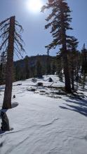 Signs of some previous scouring and snow transport along the ridgetop.