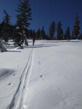 Supportable snow with a thin layer of soft snow on the surface