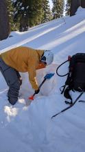 Compression test on a NE facing slope at 7800 ft. this test did not produce unstable results (CTN).