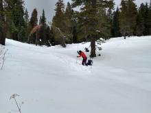 Avalanche rescue practice.