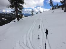 Snow available for transport in near treeline terrain.