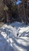 More creeks and bushes at low elevations