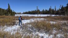 Lots of bushes and creeks at the lower elevations