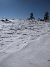 Previous wind scouring on the ridgetop leaving behind sastrugi formations.