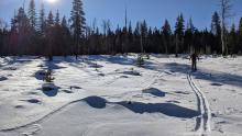 Shallow but supportable snow in a meadow around 6900 ft. 