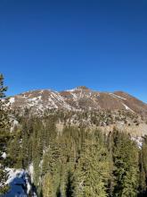 Looking across Hwy 88 at the south facing slopes of Red Lake Peak. 