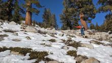 Minimal snow on E aspects below 8600' 