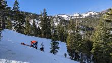 Snowpit from a below treeline avalanche path. The snowpack was shallow and weak.