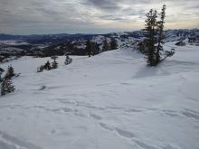 Signs of minor E wind scouring on ridgetop.