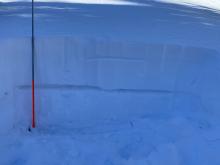Eastern aspect snow pit. In tree line and 75 cm deep
