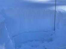 North/northwest aspect snow pit. In tree line and 130 cm deep