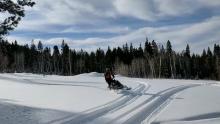 Minor track collapsing into lower snowpack facets, but no significant snowpack collapses in this meadow.