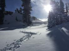 Strong winds had completely filled in my skin track while digging my pit.