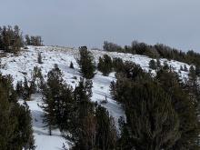 Wind scoured west facing aspect of Tamarack Peak 