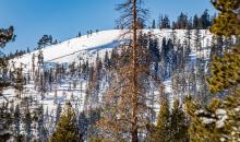 Avalanche on Webber Peak