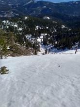 Looking down E aspect terrain from 8,000' to 7,300'.