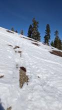Rapidly thinning snowpack on ESE aspect at 8,000'.