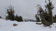 Low level clouds obscuring the view across Lake Tahoe to the Sierra Crest. 