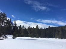 Increasing clouds and wind into the midday