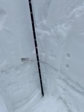 Old Dec. snow down 160cm 1F hardness looks to be bonding