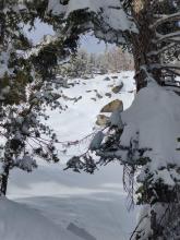 Wet loose activity observed on steep SE slope around 12:30pm.