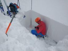 Weaker facets below the storm snow in a lower (8100 ft) area where the snowpack was very shallow before the storm. 