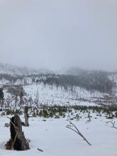 The approach to Echo has just enough snow to travel on but the snowpack hasn't consolidated enough and manzanita traps wait for the unsuspecting.