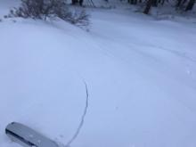 Small wind slab on a north/northwest facing pocket of a generally west facing slope. There were several similar isolated slabs on the slope. 