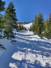 One of two gullies that the debris ran through. Alpha angle at the photo spot was 20 degrees. The debris ran downslope for another 300' below this point.