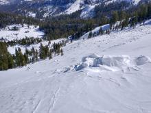 Debris ran through two gullies all the way to the large open meadow at the bottom of the slope.