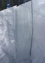 Snow profile. Photo is a vertical panorama (probe is actually straight)