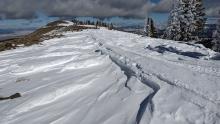 Wind scoured features and rimed trees on the Lola ridge