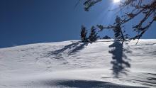 Scouring and wind effect on the north ridge of Silver Peak, near treeline around 8000'