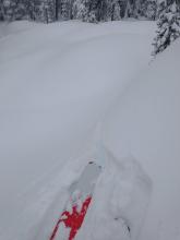 Storm slab cracking well below treeline.