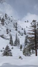 Wind slab avalanche from early morning on Feb. 13, NE aspect, 6950'