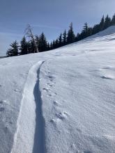 The same skin track in an above treeline wind loaded zone was nearly obscured by wind transported snow.