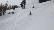 Human-triggered avalanches on a steep (38-40+ degree) E facing slope