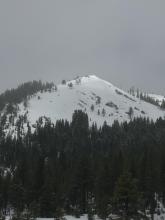 Avalanche observed from Coyote Hut in Euer Valley