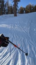 Raised ski tracks caused by wind scouring