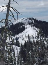 Avalanche on the north east aspect of Andesite