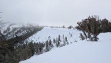 Cornices built out along the east ridge of Tamarack Peak.